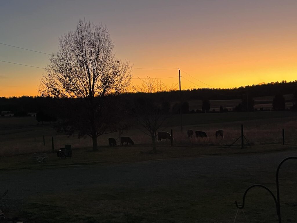 469878109 548449508158099 5634965140147300439 n