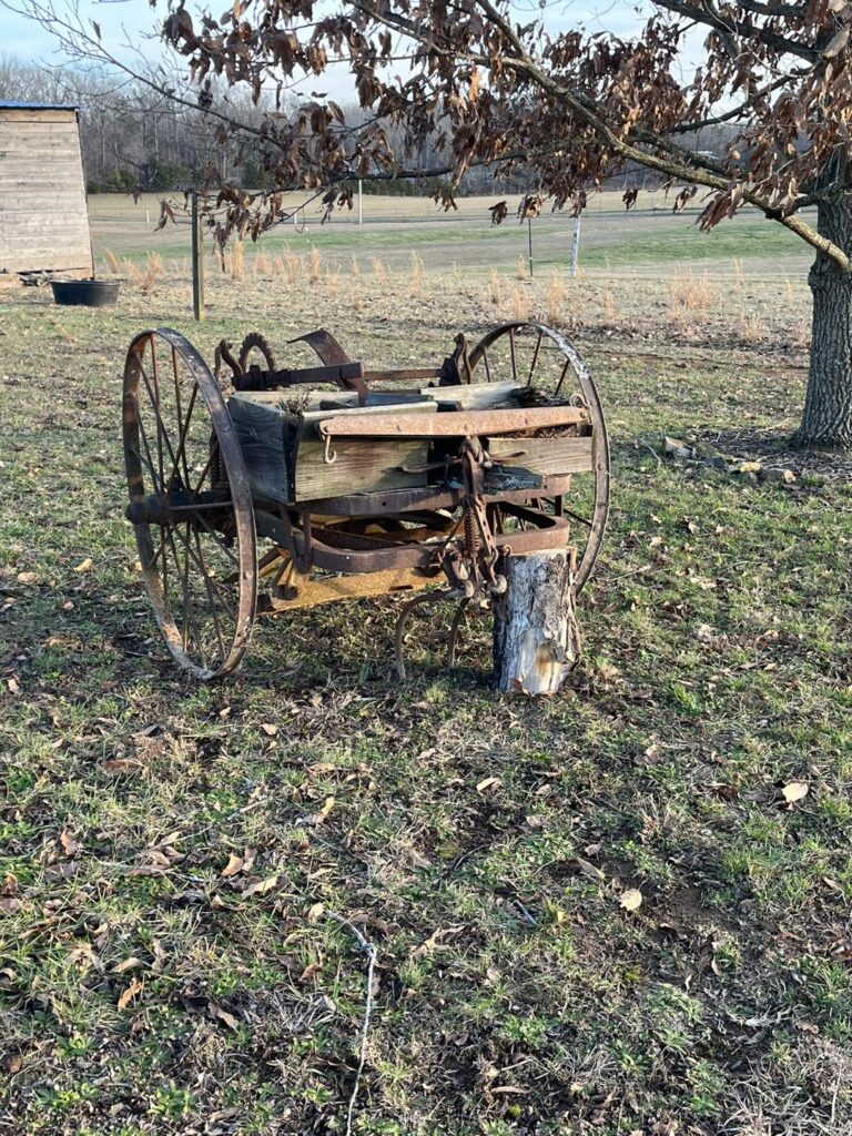 469888240 547664724903244 7637522500973341681 n