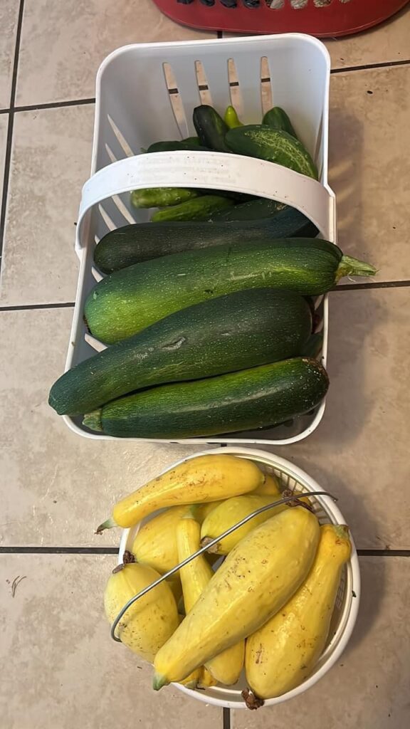 474623544 579675148368868 377777671825226934 n