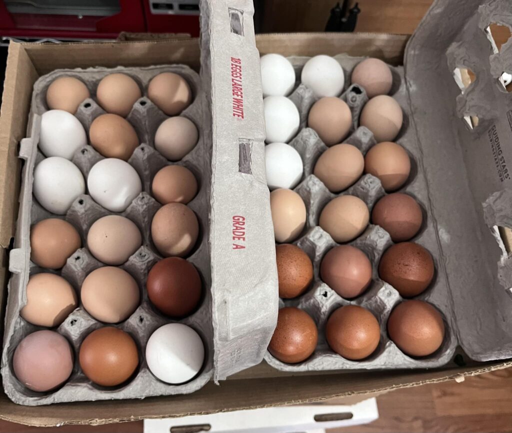 475405124 584892611180455 6345743393275386456 n