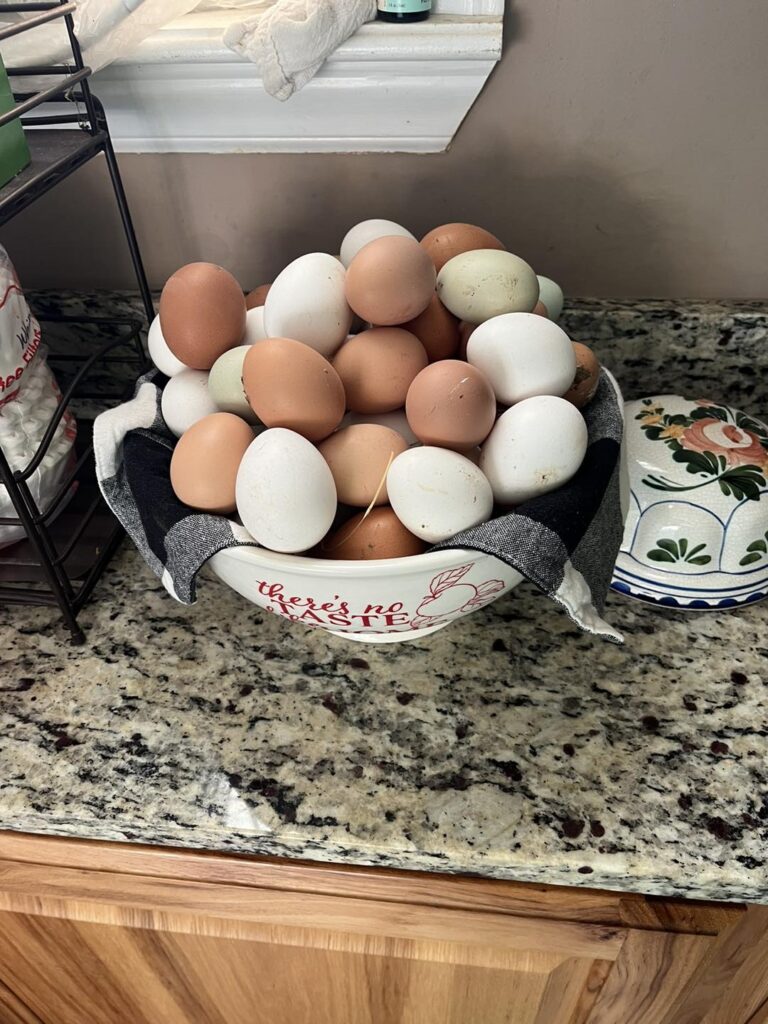 475640208 585157141154002 8271901086865572276 n