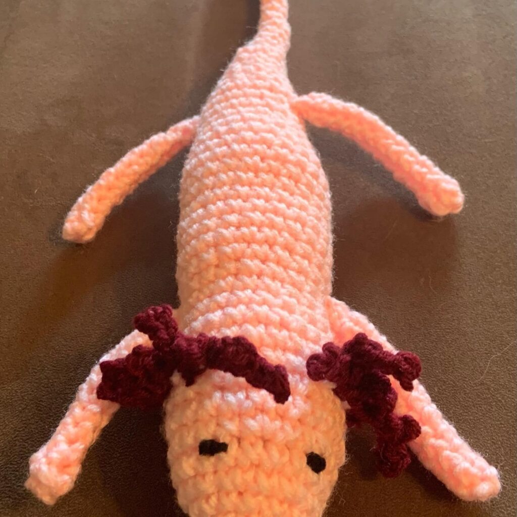 476831443 593479073655142 67059846357115687 n