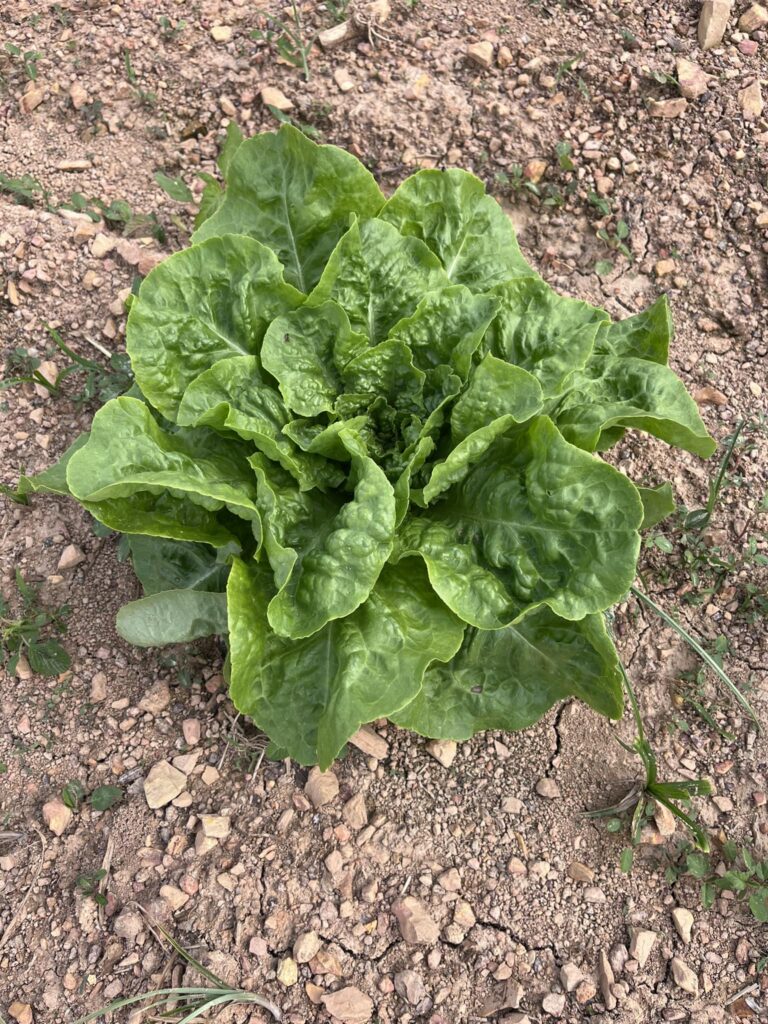 480455089 596643810005335 7514261628329802333 n