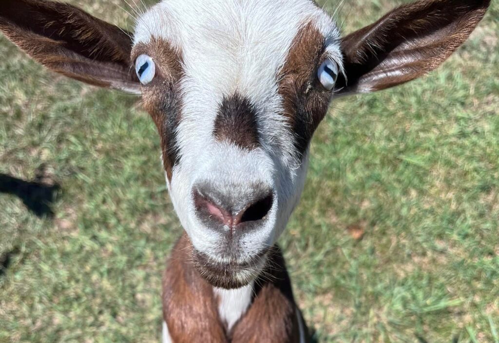 486170825 9764102803608868 6340235926705944202 n