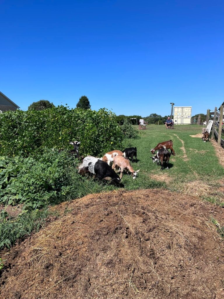 486547205 9764102420275573 3603548532068674602 n