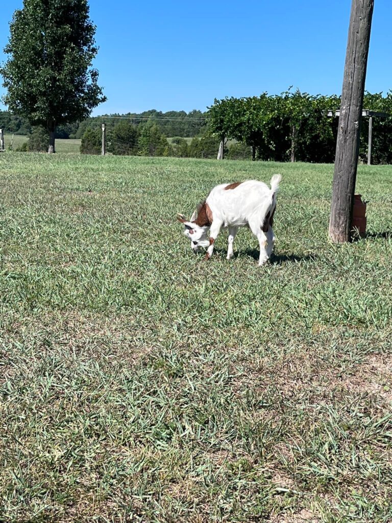 487128988 9764102773608871 1490229721644276371 n