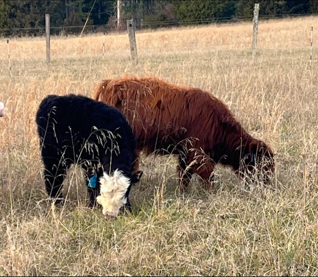 488438149 9827351013950713 9190517808198189349 n