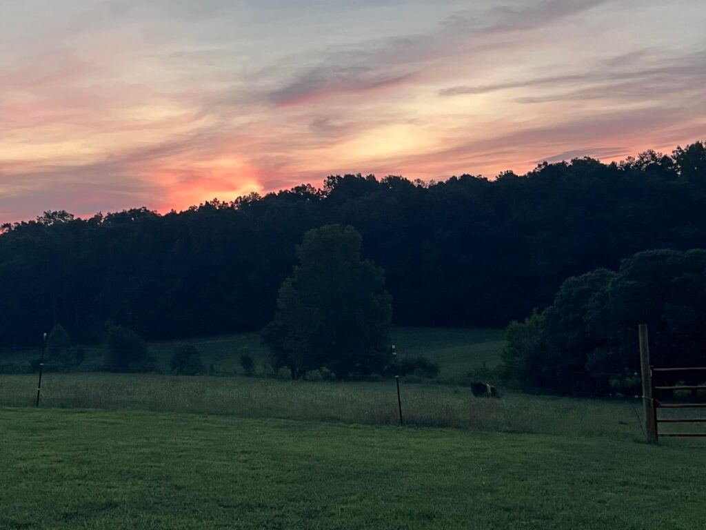 490698034 9907473875938426 265965142678346980 n