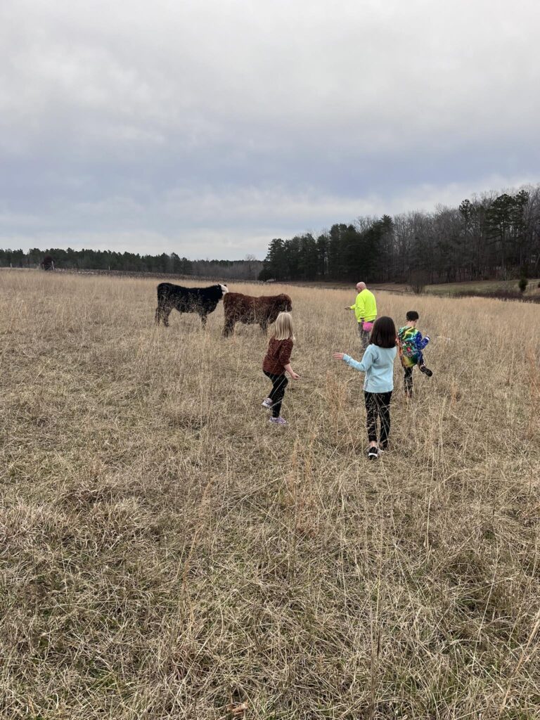 493108415 10004985062853973 9189572571865447212 n