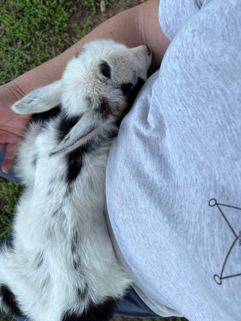 493255621 9996167800402366 7780969190682260413 n