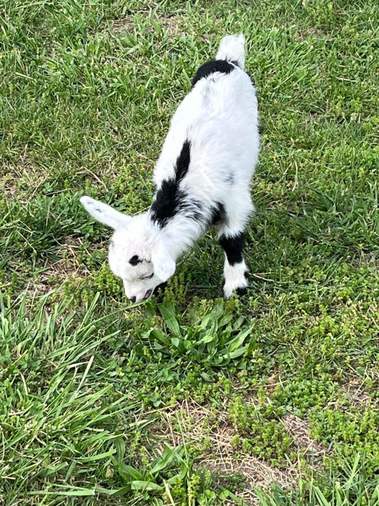 493265057 9996167580402388 6603451564531887948 n