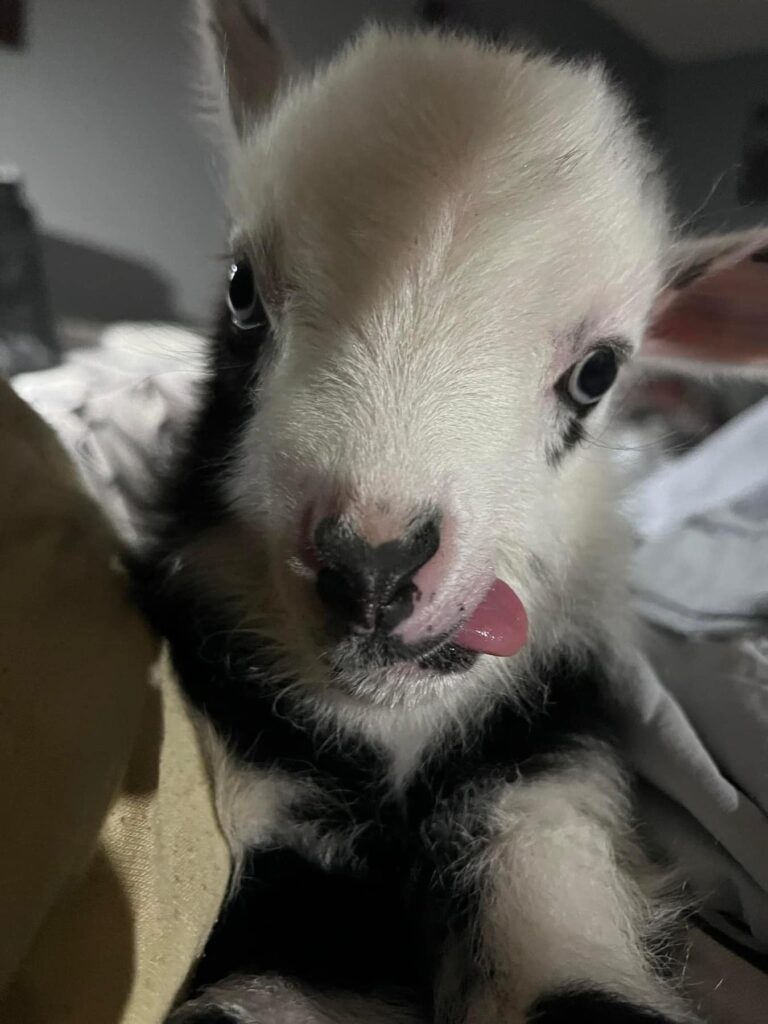 493519290 9996167617069051 7774364309434694255 n