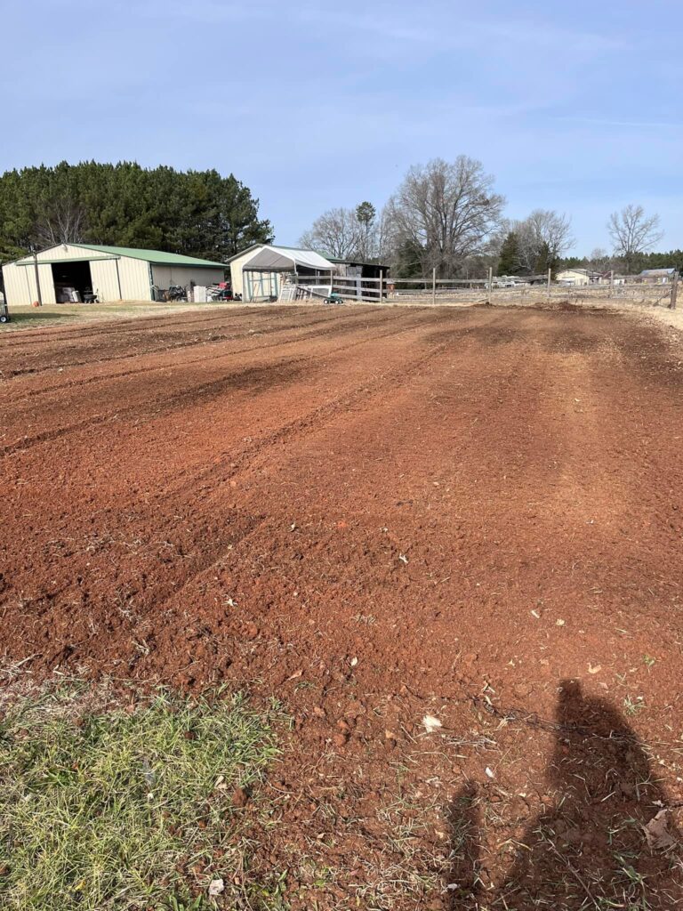 493536014 9992825210736625 8169853213978721160 n