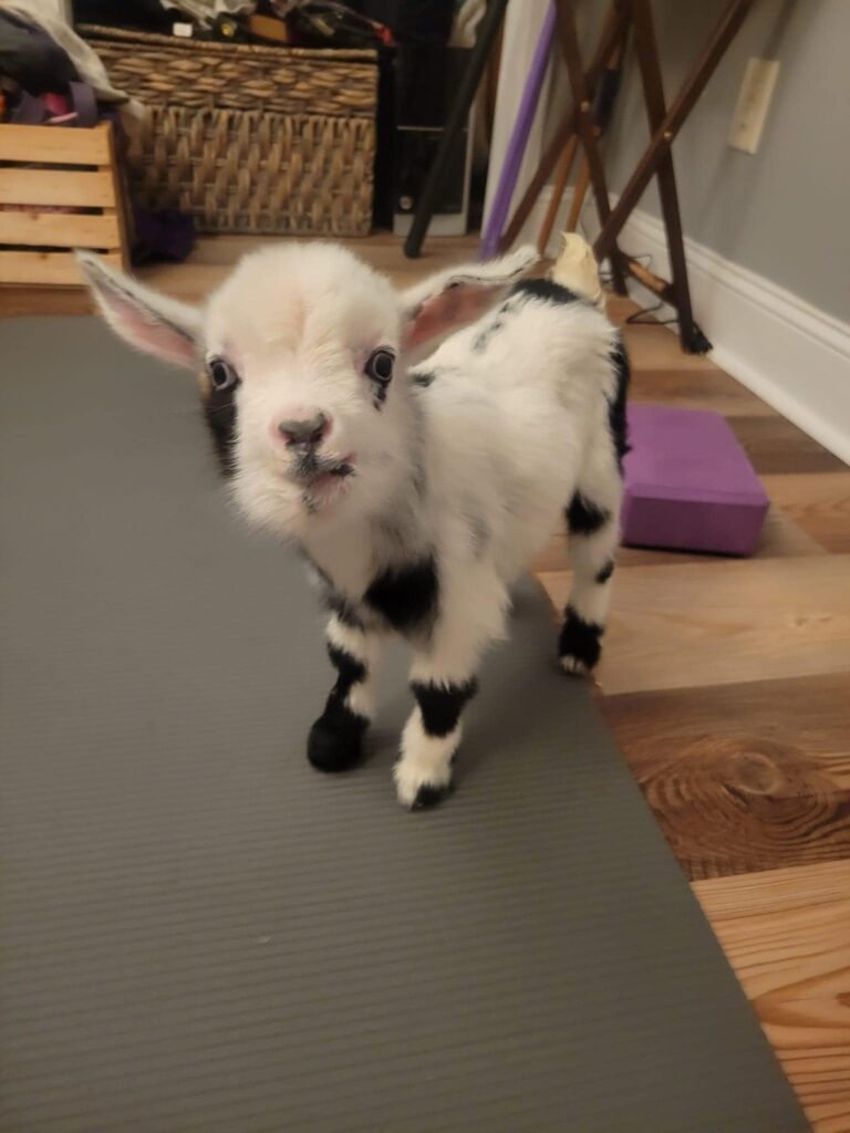 494090488 9996167693735710 6286360338303120924 n