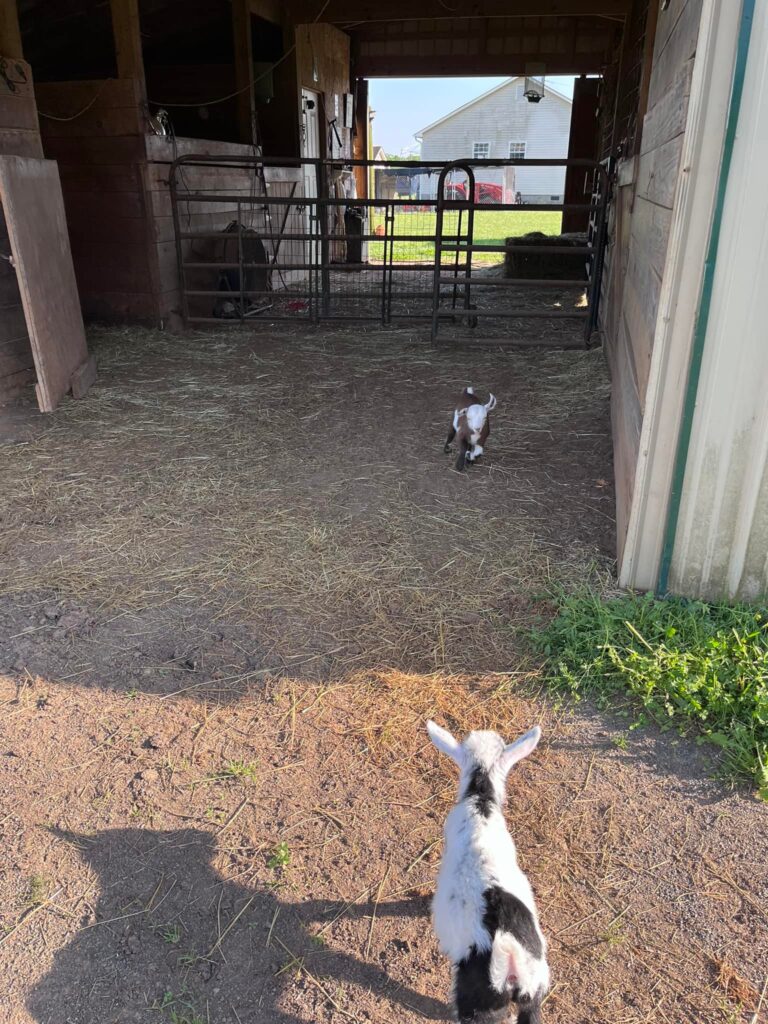 494229301 9996167533735726 4733644625436618882 n