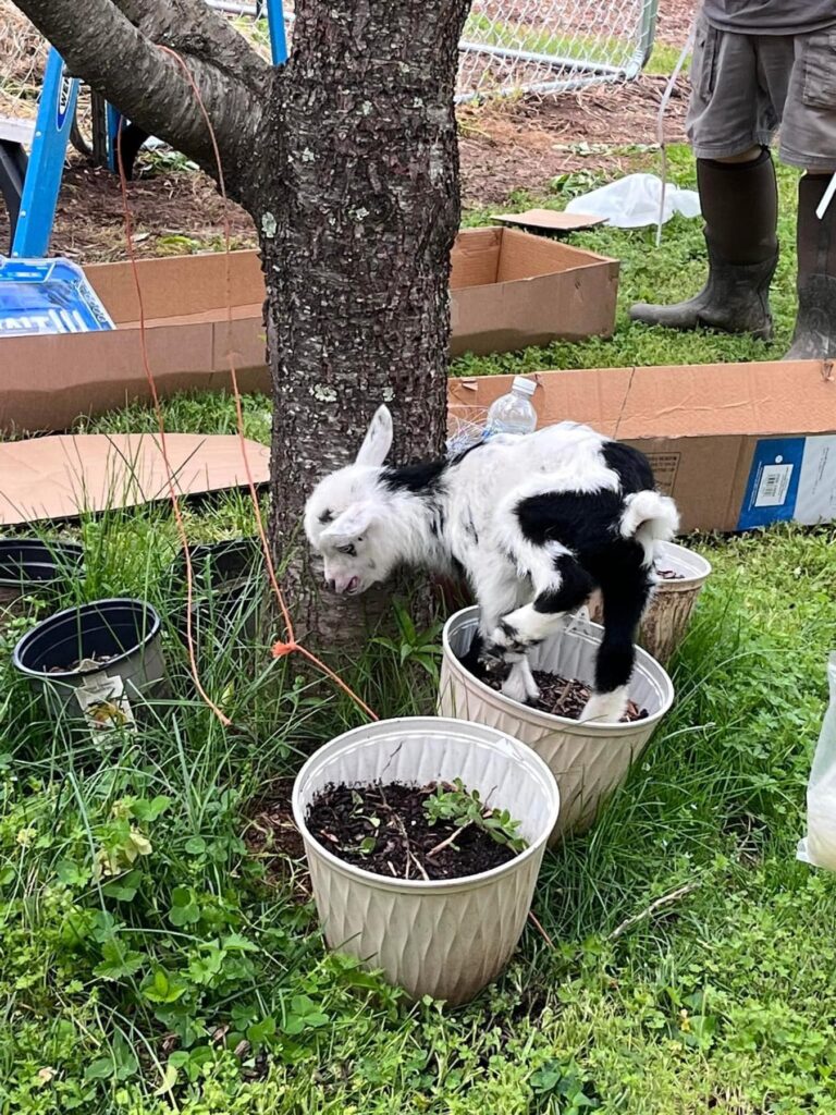 494466358 9996167540402392 6454837362919907099 n