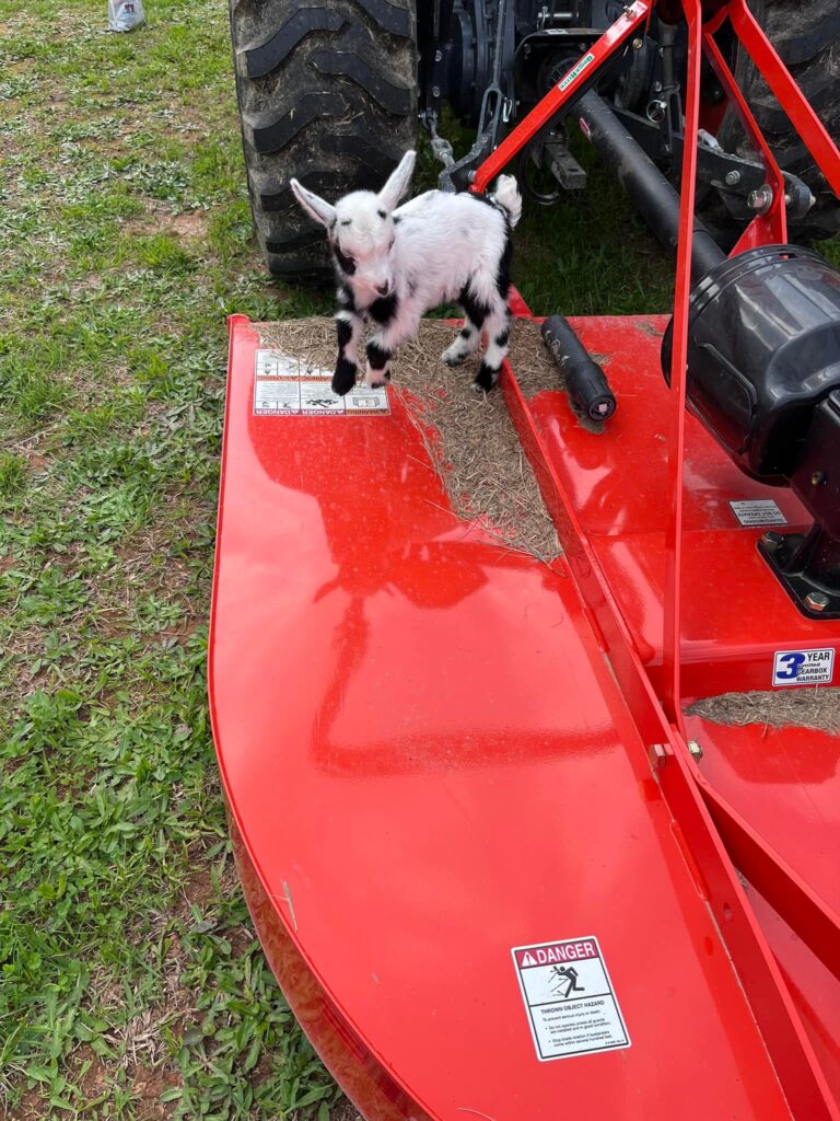 494682041 9996167520402394 5044792712800340152 n