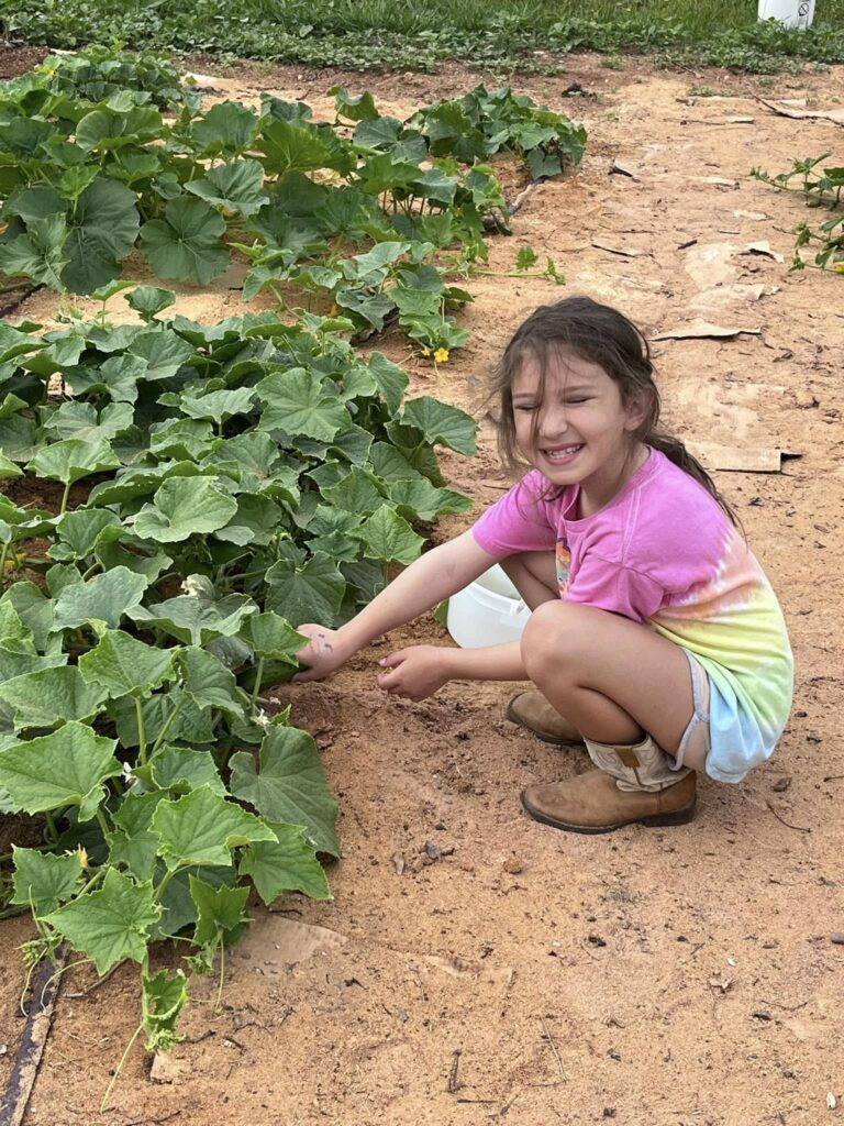 495437788 10083678791651266 4559914243033517 n