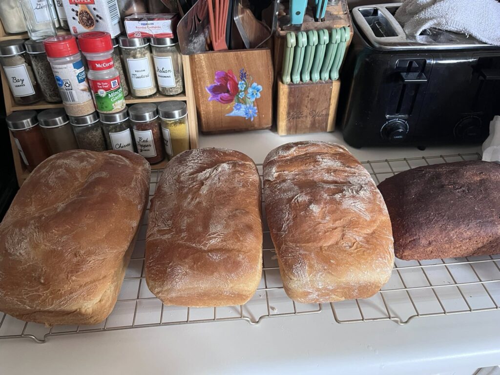 497660369 665173119819070 4666225685891796250 n