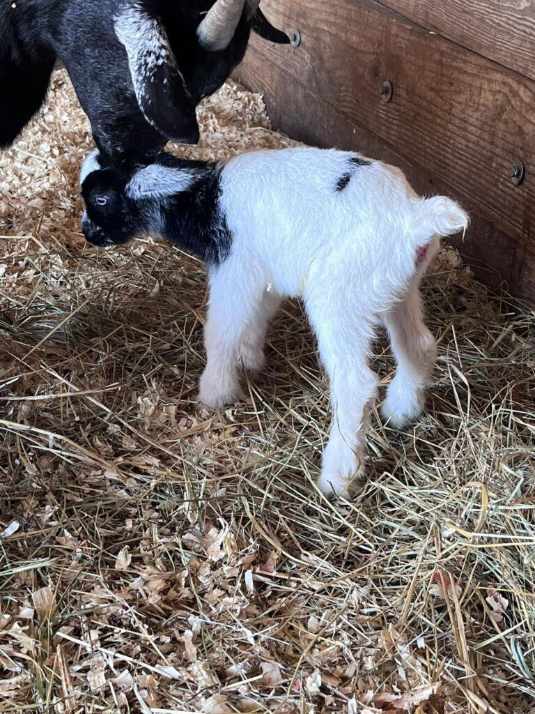 499830927 23989449010647676 1632542696366059867 n (1)