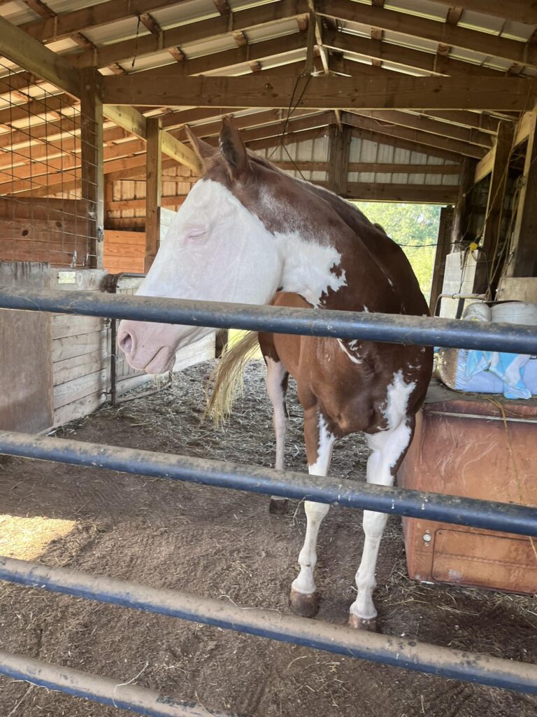 503358099 24031017566490820 6911089764290825292 n