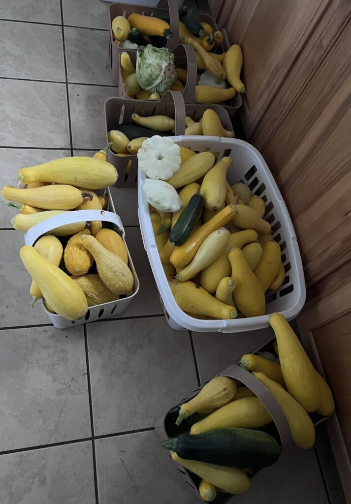 507907815 687750310894684 4895251498218303792 n