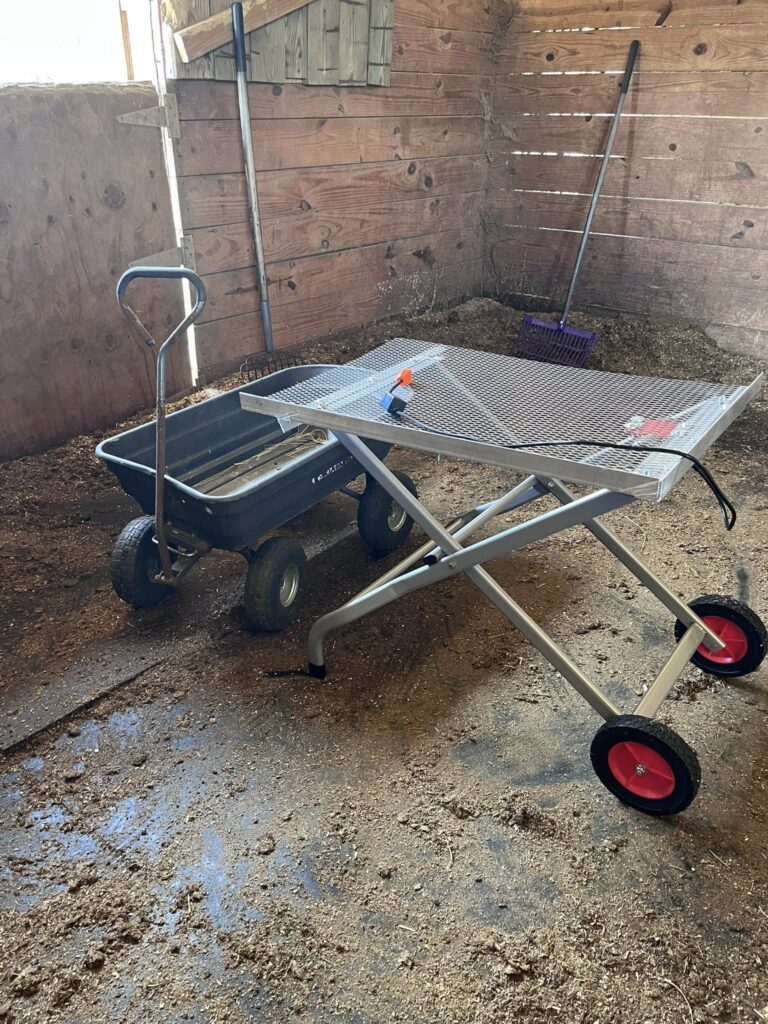 515436515 24295728756686365 2543044615173478128 n