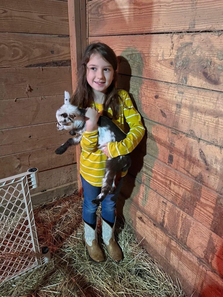 515505106 24293591623566745 4305910685271457342 n