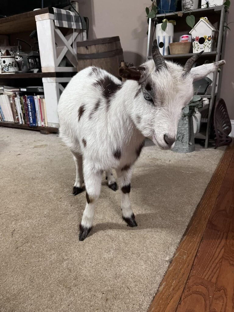 515784416 24292536073672300 1837712901943305090 n