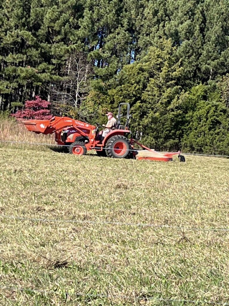 518356018 24370742025851704 6629915606362040044 n