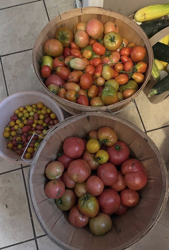 520670425 24413731058219467 6231744413713221171 n