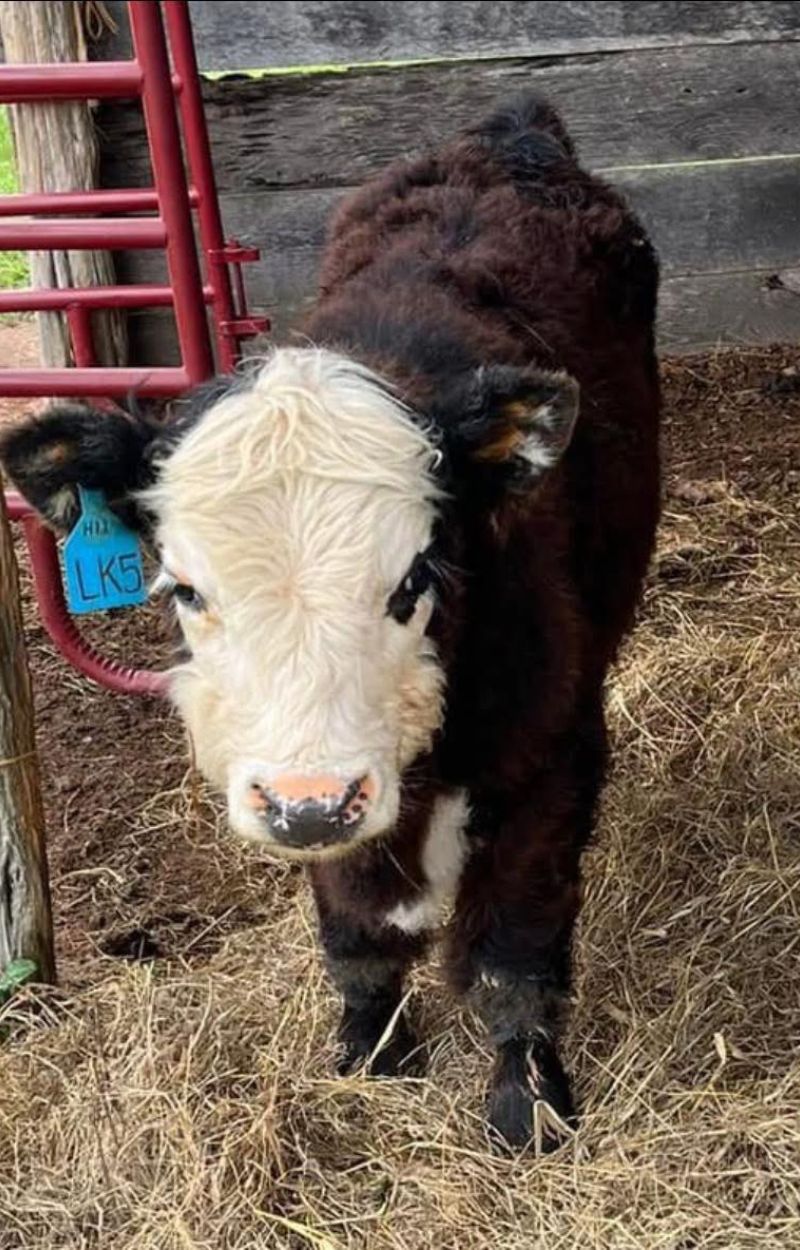 black clean minimalist circle monogram logo (800 x 1250 px) (3)