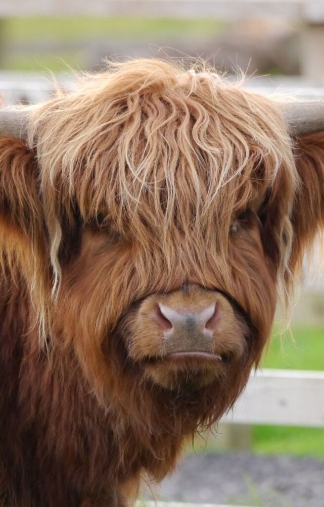 black clean minimalist circle monogram logo (800 x 1250 px)