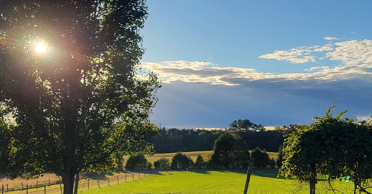 untitled design (11)